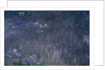 Waterlilies: Reflections of Trees by Claude Monet
