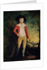 Portrait of William Seward with a Cricket Bat, c.1788-91 by Ozias Humphry