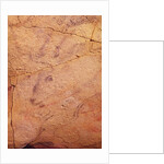 Head of a small stag by Prehistoric Prehistoric