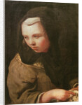 The Sense of Hearing by Michael Sweerts