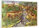 Stag Hunt by Jacques Le Moyne