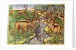 Stag Hunt by Jacques Le Moyne