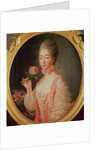 Marie-Josephine Louise de Savoie Comtesse de Provence by Francois-Hubert Drouais