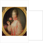 Marie-Josephine Louise de Savoie Comtesse de Provence by Francois-Hubert Drouais