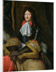 Louis XIV by French School