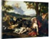 Adonis Killed by a Wild Boar by Francesco Albani