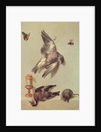 Still Life of Dead Birds and a Mouse, 1712 by Jean-Baptiste Oudry