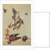 Still Life of Dead Birds and a Mouse, 1712 by Jean-Baptiste Oudry