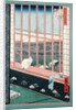 Asakusa Rice Fields during the festival of the Cock by Ando or Utagawa Hiroshige