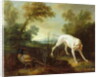 Blanche, Bitch of the Royal Hunting Pack by Jean-Baptiste Oudry