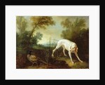 Blanche, Bitch of the Royal Hunting Pack by Jean-Baptiste Oudry