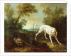 Blanche, Bitch of the Royal Hunting Pack by Jean-Baptiste Oudry