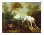 Blanche, Bitch of the Royal Hunting Pack by Jean-Baptiste Oudry