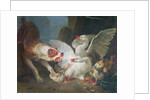 A Dog Attacking Geese, 1769 by Jean-Baptiste Huet