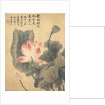 Peonies by Shouping Yun