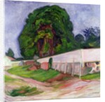 Summer Night at Asgardstrand, 1904 by Edvard Munch