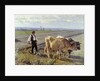 The Furrow, 1897 by Edouard Debat-Ponsan