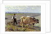 The Furrow, 1897 by Edouard Debat-Ponsan