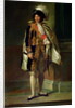 Joachim Murat 1805 by Francois Pascal Simon Baron Gerard