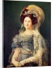 Maria Christina de Bourbon-Sicile Queen of Spain, c.1829 by Vicente Lopez y Portana