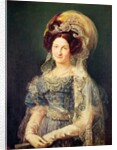 Maria Christina de Bourbon-Sicile Queen of Spain, c.1829 by Vicente Lopez y Portana