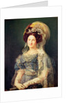 Maria Christina de Bourbon-Sicile Queen of Spain, c.1829 by Vicente Lopez y Portana