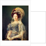Maria Christina de Bourbon-Sicile Queen of Spain, c.1829 by Vicente Lopez y Portana