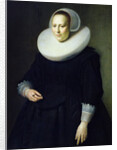 Portrait of a Woman by Michiel Jansz. van