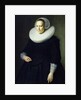 Portrait of a Woman by Michiel Jansz. van