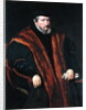 Portrait of a Man, 1564 by School Netherlandish