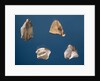 Four tools, 35000-10000 BC by Prehistoric Prehistoric