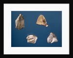 Four tools, 35000-10000 BC by Prehistoric Prehistoric