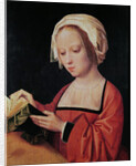 St. Mary Magdalene Reading by Adriaen