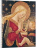 Virgin and Child, 15th century by Neri di Bicci