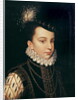 Portrait of Francois Hercule de France Duc d'Alencon by Francois Clouet