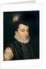 Portrait of Francois Hercule de France Duc d'Alencon by Francois Clouet