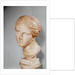 Venus of Martres, Roman copy of a Greek original by Praxiteles (after)