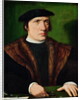 Portrait of a Man by Hans Holbein the Younger
