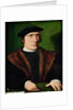 Portrait of a Man by Hans Holbein the Younger
