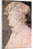 Portrait of a Man by Albrecht Dürer or Duerer