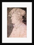 Portrait of a Man by Albrecht Dürer or Duerer