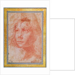 Head of a young boy turned to the left by Polidoro da Caravaggio