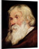 Head of an Old Man by Peter Paul Rubens