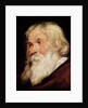Head of an Old Man by Peter Paul Rubens