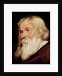 Head of an Old Man by Peter Paul Rubens