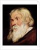 Head of an Old Man by Peter Paul Rubens