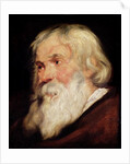 Head of an Old Man by Peter Paul Rubens
