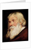 Head of an Old Man by Peter Paul Rubens