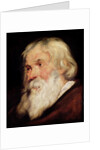 Head of an Old Man by Peter Paul Rubens