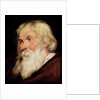 Head of an Old Man by Peter Paul Rubens